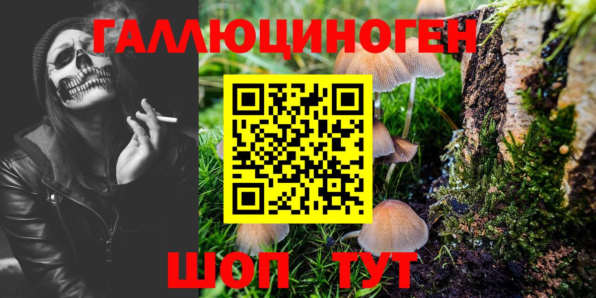 Псилоцибиновые грибы GOLDEN TEACHER  Вход с VPN  Белгород  Галлюциногенные грибы Cubensis 